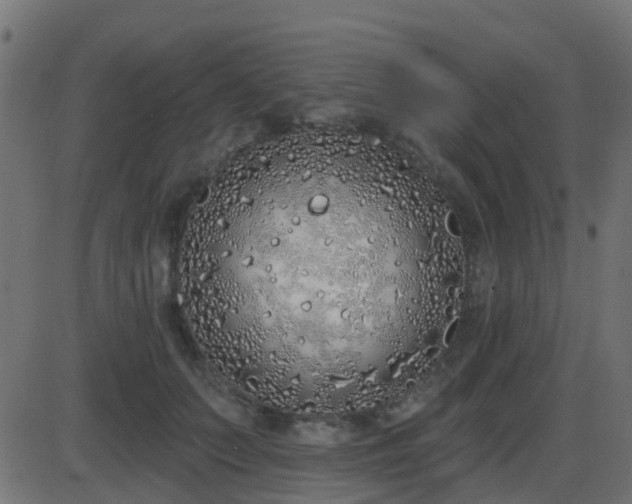 X0000086270703200704051309