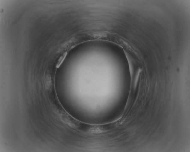 X0000086270704200704051309