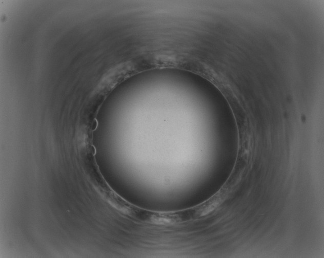 X0000086270706200704051309