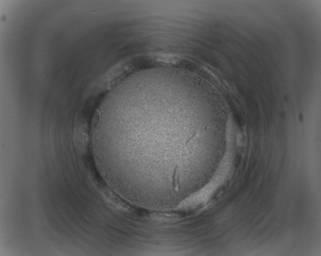 X0000086270707200704051309