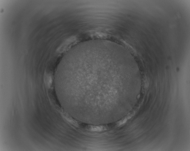 X0000086270709200704051309