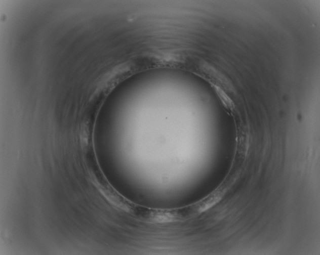 X0000086270710200704051309