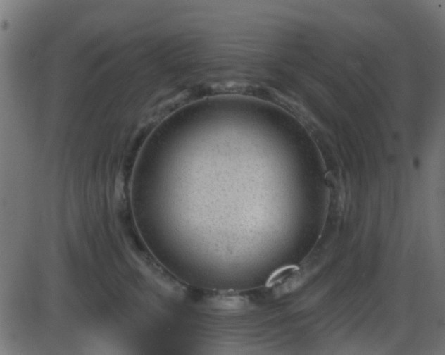 X0000086270711200704051309