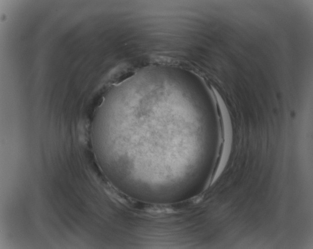 X0000086270712200704051309