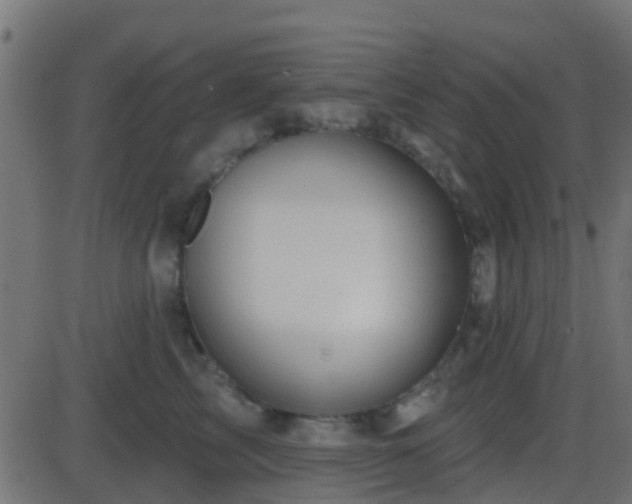 X0000086270713200704051309