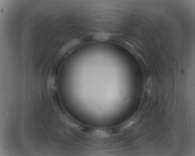 X0000086270714200704051309