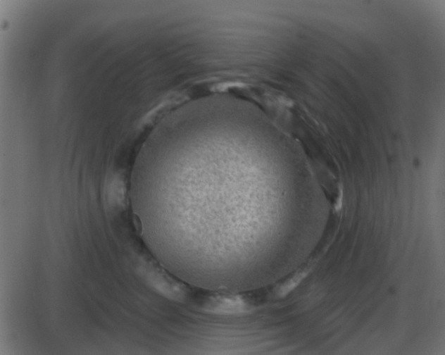 X0000086270715200704051309