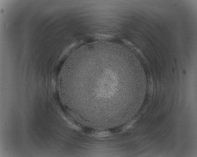 X0000086270716200704051309