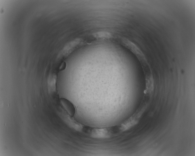 X0000086270717200704051309