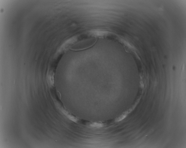 X0000086270718200704051309