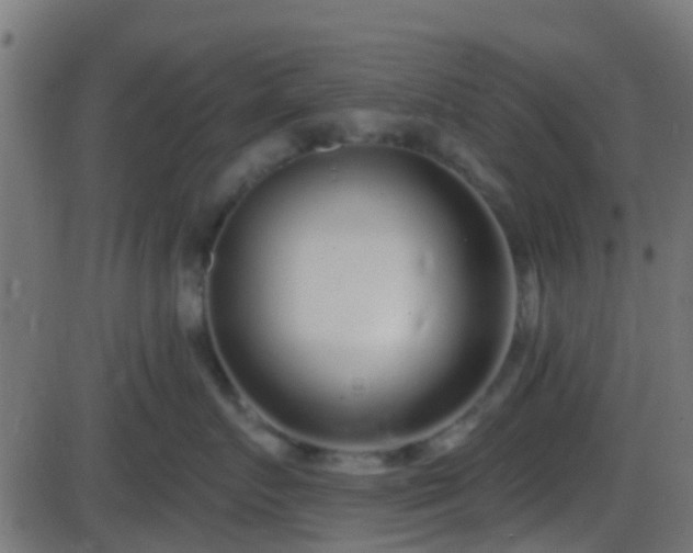 X0000086270719200704051309