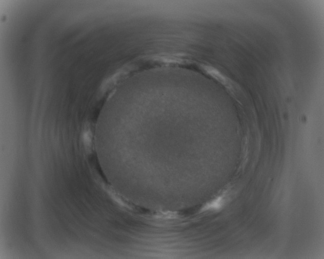 X0000086270720200704051309