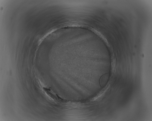 X0000086270721200704051308