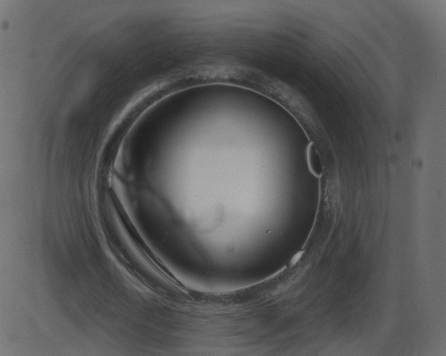 X0000086270722200704051308