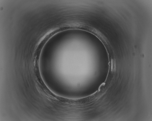 X0000086270723200704051308