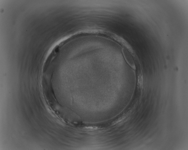 X0000086270724200704051308