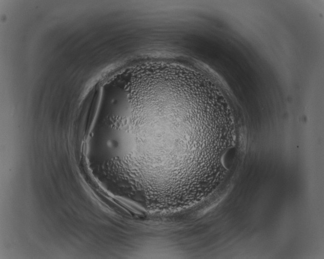 X0000086270725200704051308