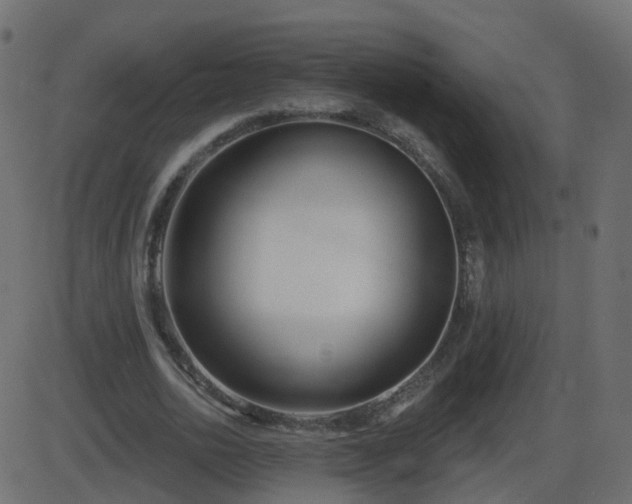 X0000086270726200704051308