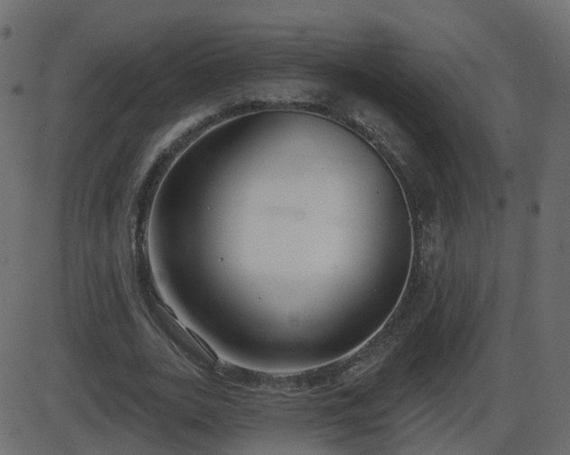 X0000086270727200704051308