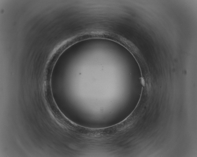 X0000086270728200704051308