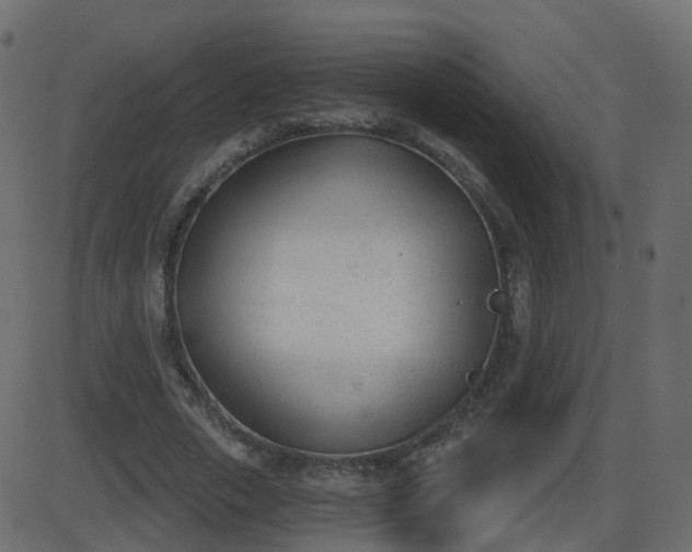 X0000086270729200704051308