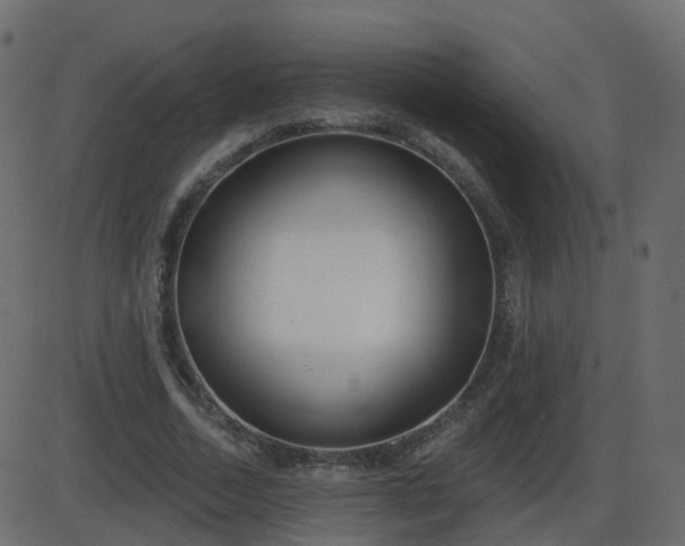 X0000086270730200704051308