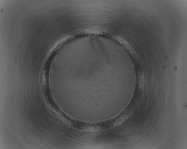 X0000086270731200704051308