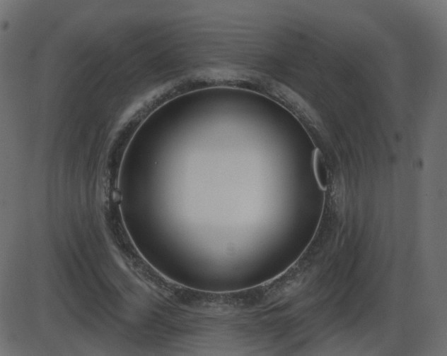 X0000086270732200704051309