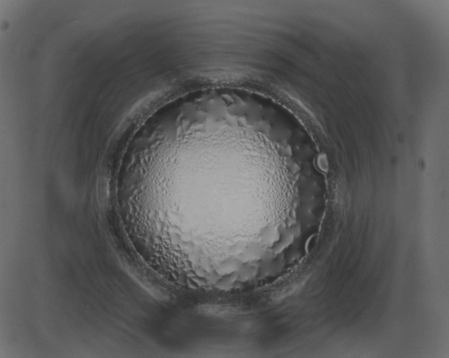 X0000086270733200704051309