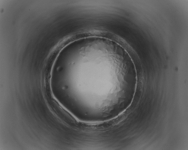 X0000086270734200704051309