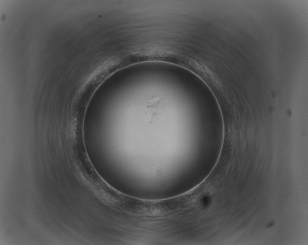 X0000086270735200704051309