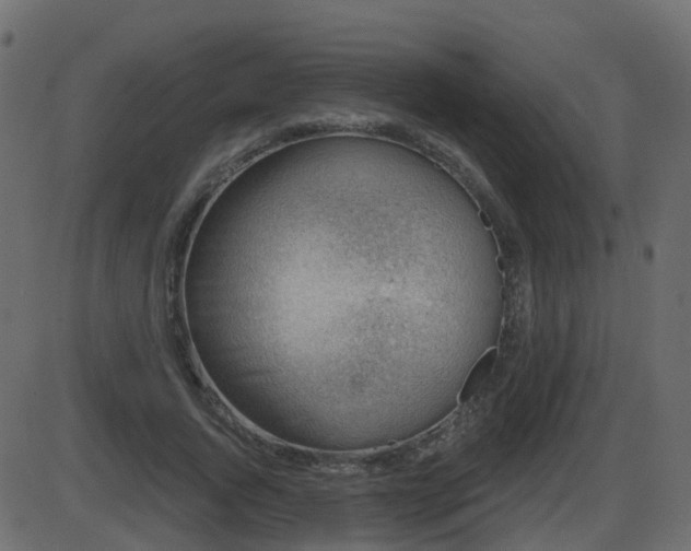 X0000086270736200704051309