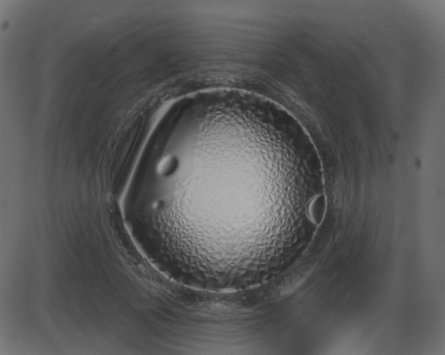 X0000086270737200704051309