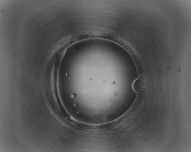 X0000086270738200704051309