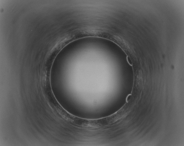 X0000086270739200704051309