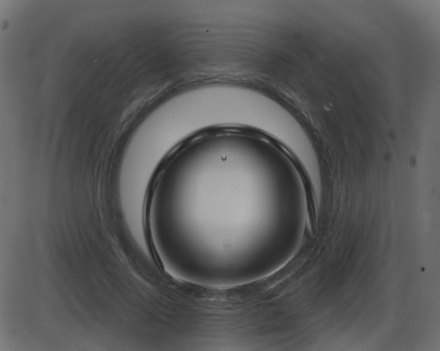 X0000086270740200704051309