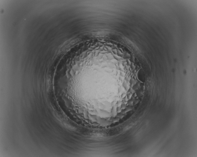 X0000086270741200704051309