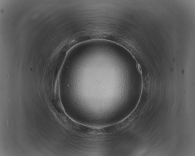 X0000086270742200704051309