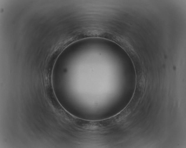 X0000086270743200704051309