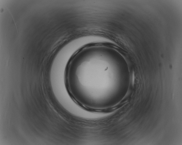 X0000086270744200704051309