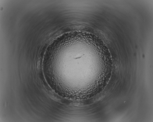 X0000086270745200704051309