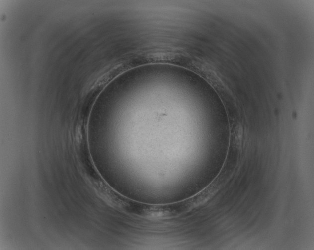 X0000086270746200704051309