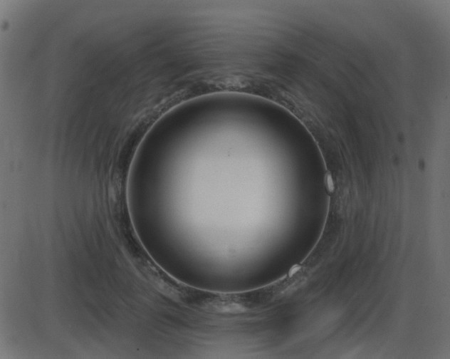 X0000086270747200704051309