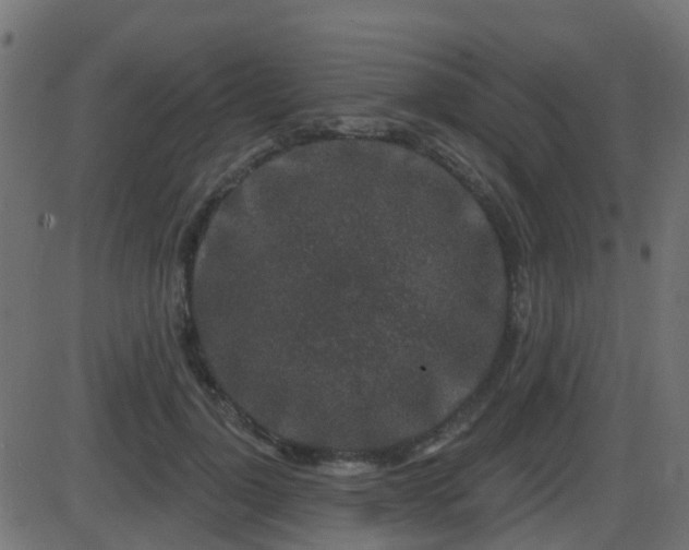 X0000086270748200704051309