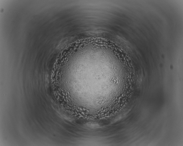 X0000086270749200704051309