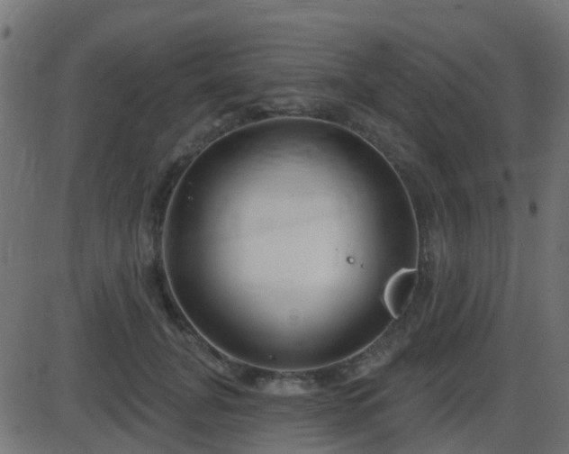 X0000086270751200704051309