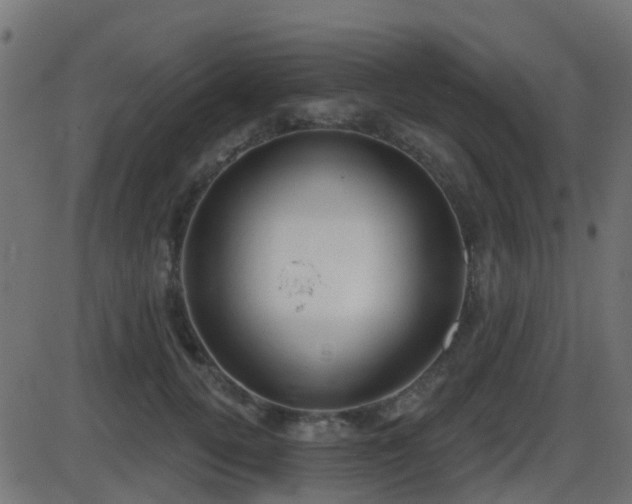 X0000086270752200704051309