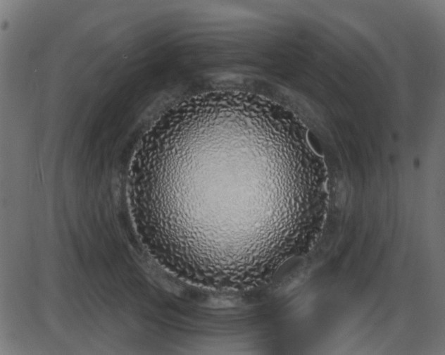 X0000086270753200704051309