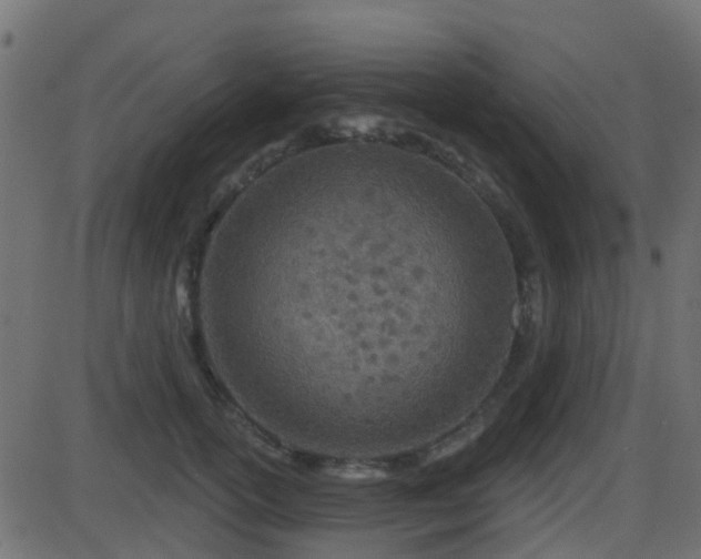 X0000086270754200704051309