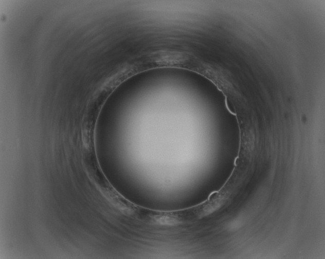 X0000086270755200704051309